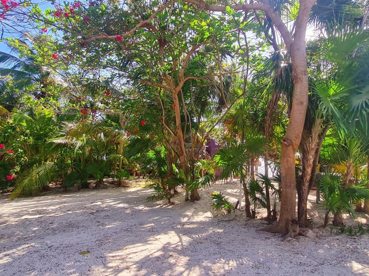 Ecological Hotel Maya Luna Mahahual Exterior foto